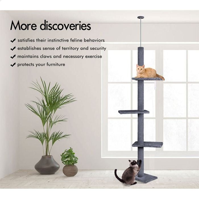 CARLA HOME Floor to Ceiling Cat Tree Tower with Adjustable Height 230-286cm for Indoor Cats (Grey)