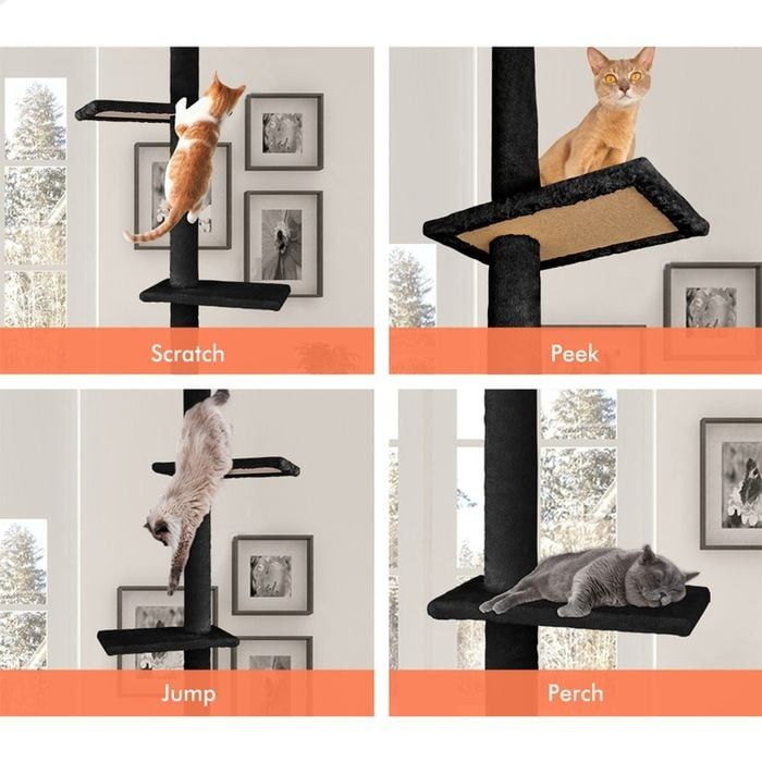 CARLA HOME Floor to Ceiling Cat Tree Tower with Adjustable Height 230-286cm for Indoor Cats (Black)