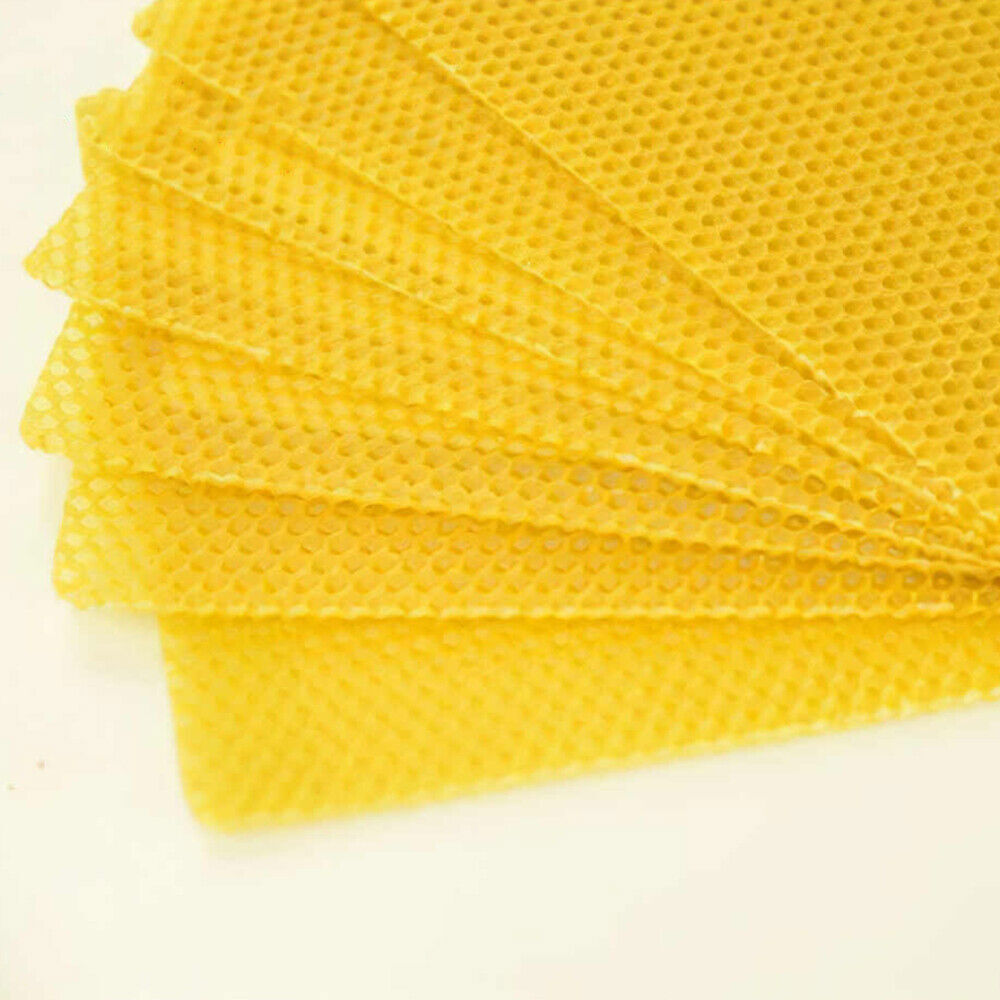 30Pcs Bee Hive Wax Honeycomb Bee Hives Beekeeping Equipment Frames Foundation