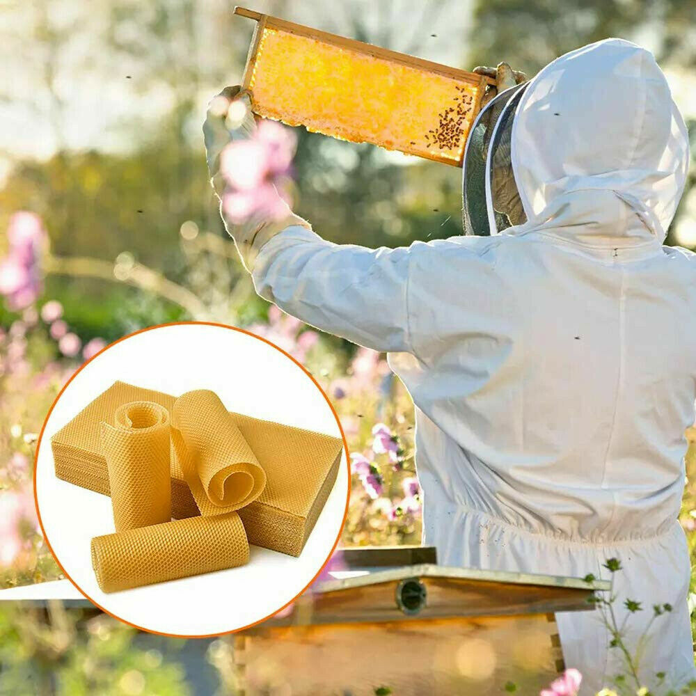 30Pcs Bee Hive Wax Honeycomb Bee Hives Beekeeping Equipment Frames Foundation