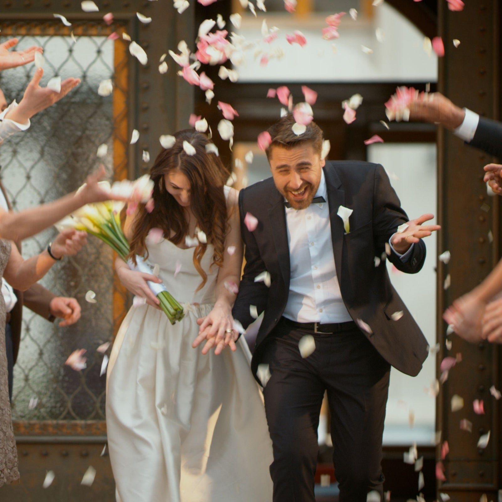 2Kg Bulk Organic Dried Red Rose Petals - Wedding Confetti Rosa Centifolia Flower