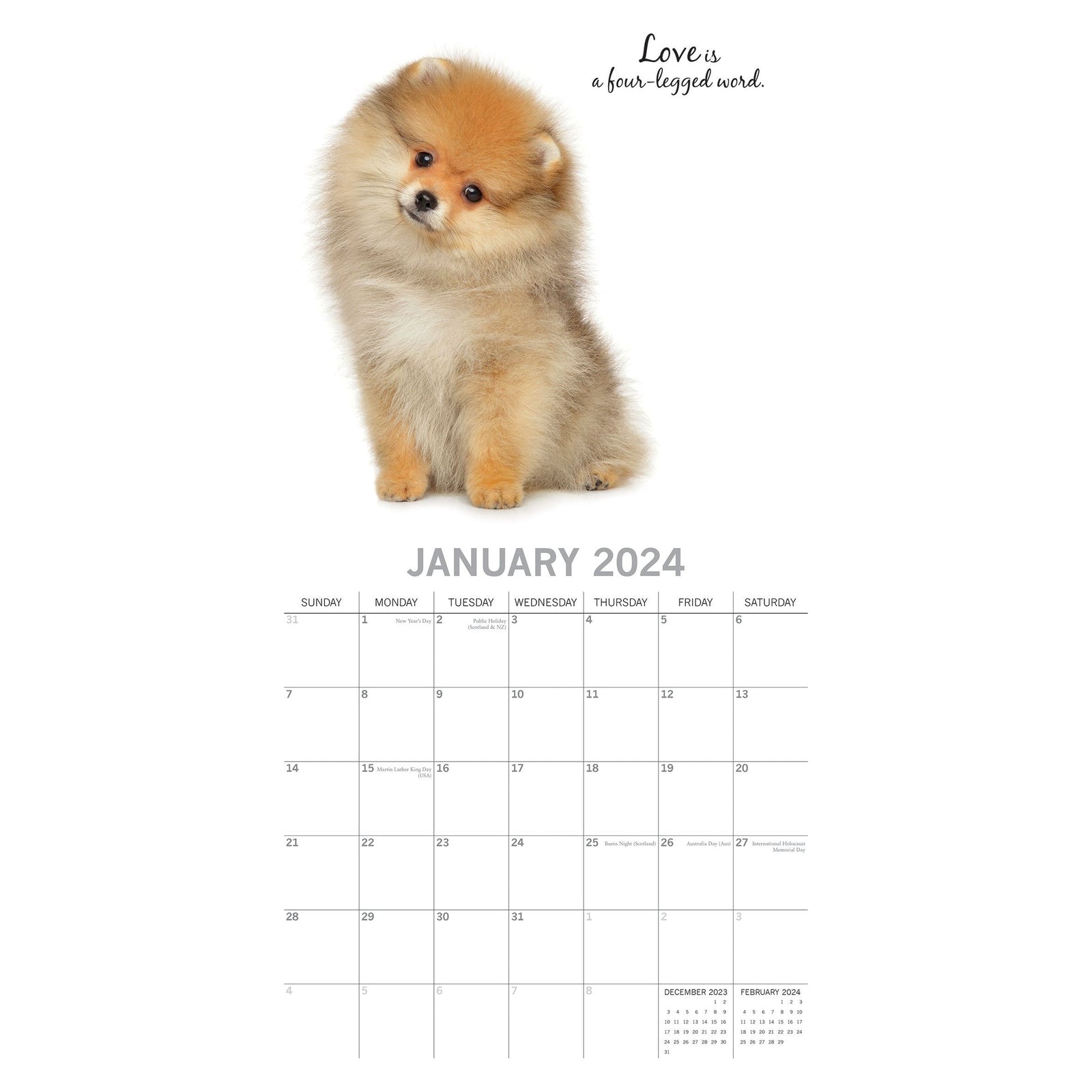 Adorable Dogs - 2024 Square Wall Calendar Pets Animals 16 Months Premium Planner
