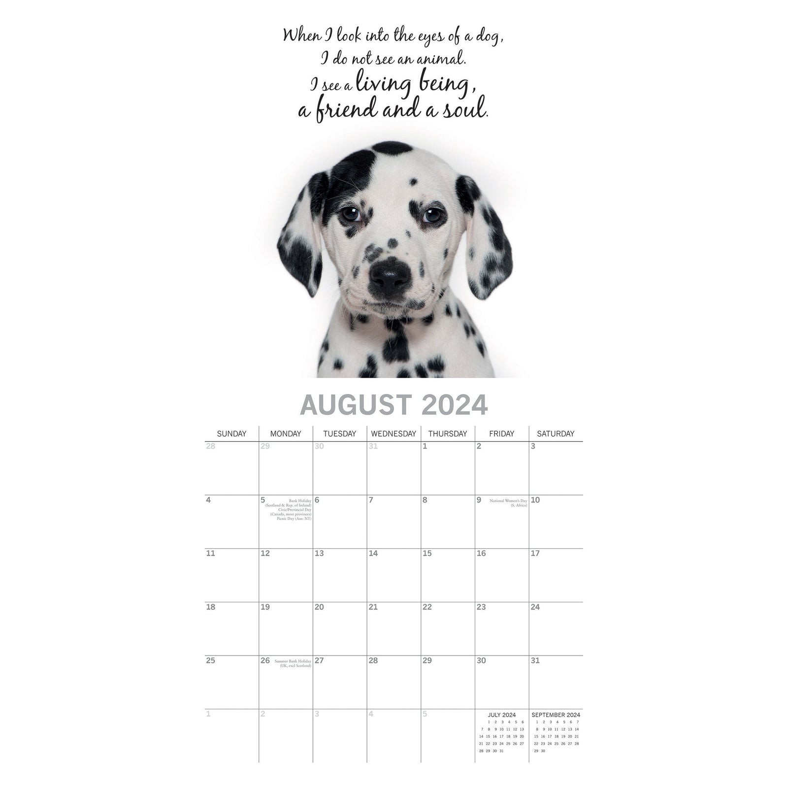 Adorable Dogs - 2024 Square Wall Calendar Pets Animals 16 Months Premium Planner