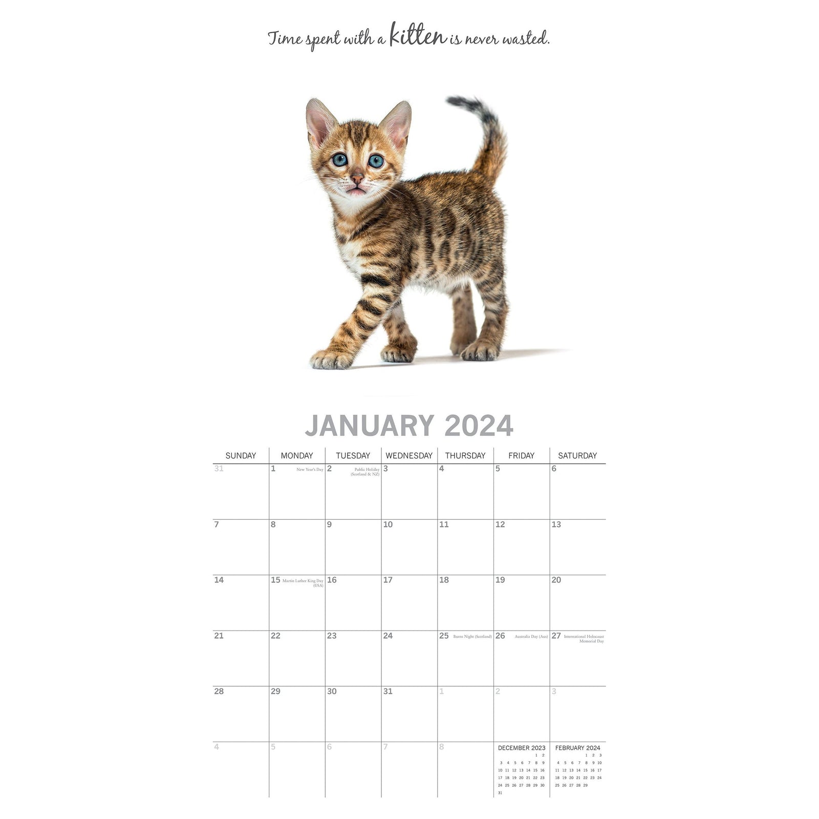 Cute Kittens - 2024 Square Wall Calendar Pets Animals 16 Months Premium Planner