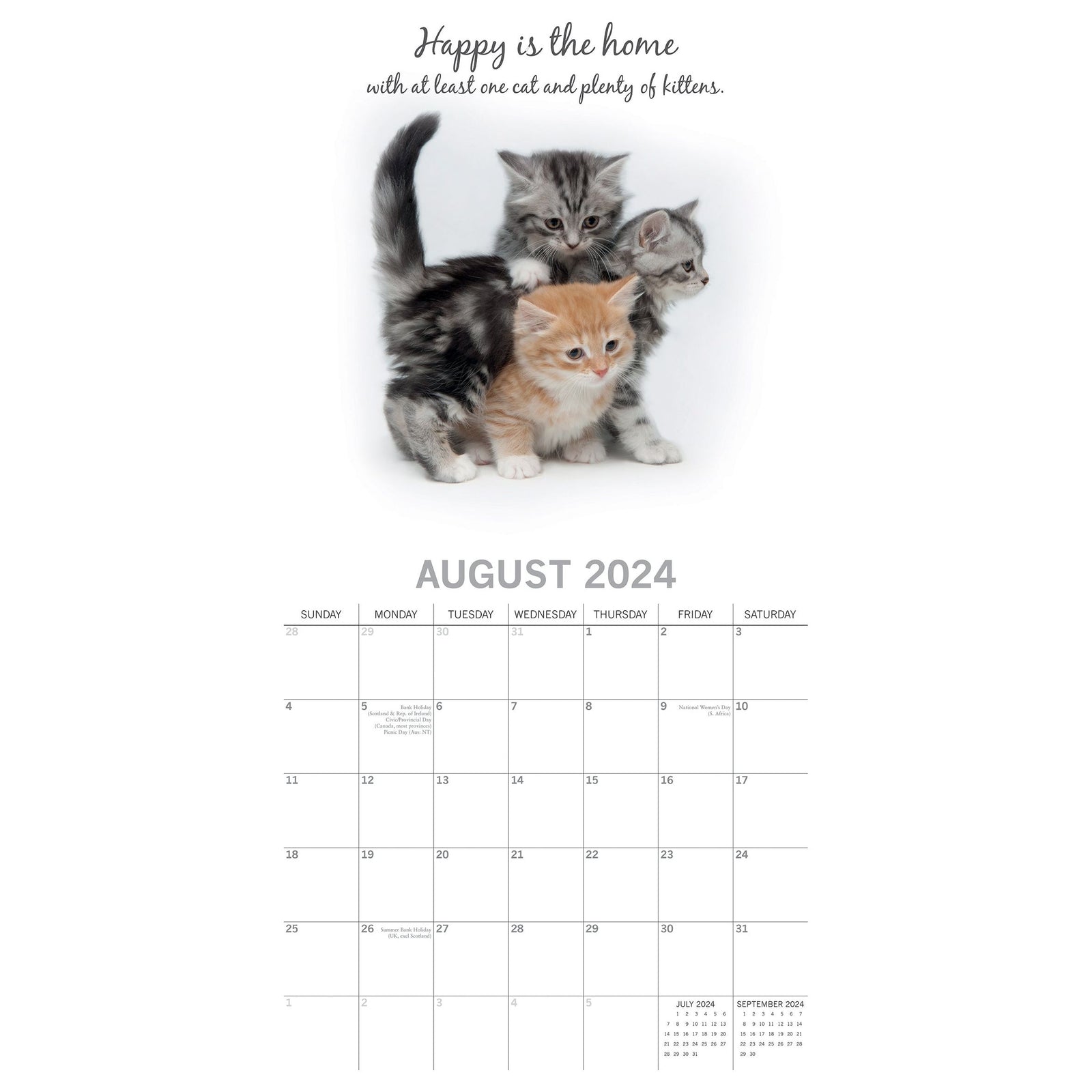 Cute Kittens - 2024 Square Wall Calendar Pets Animals 16 Months Premium Planner
