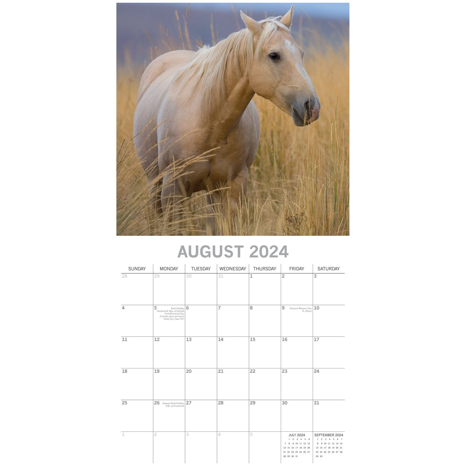 Horses - 2024 Square Wall Calendar Pets Animals 16 Months New Year Planner Gift