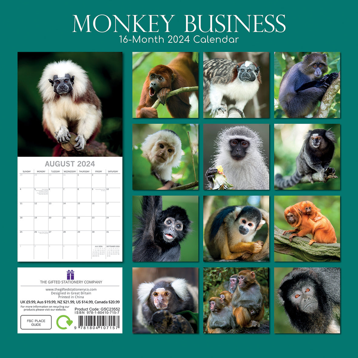 Monkey Business 2024 Square Wall Calendar Pets Animals 16 Months Premium Planner