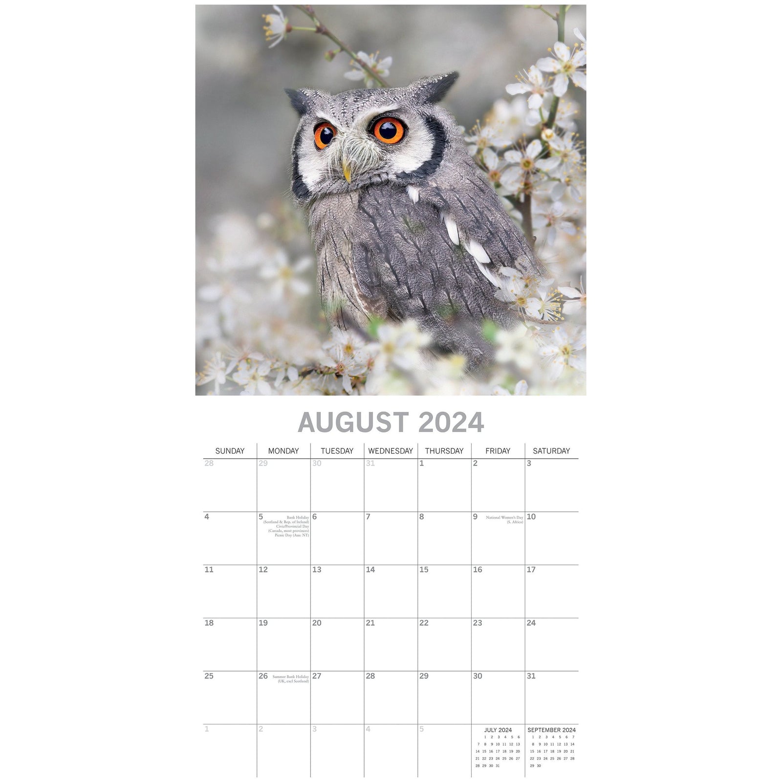 Owls 2024 Square Wall Calendar Pets Animals 16 Months New Year Christmas Planner