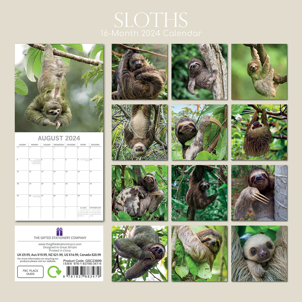 Sloths - 2024 Square Wall Calendar Pets Animals 16 Months New Year Gift Planner