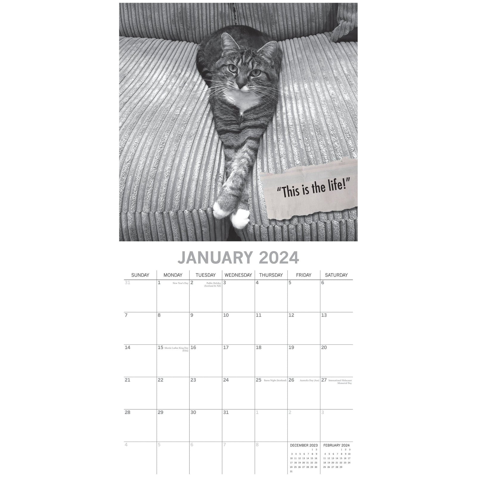 Moggies - 2024 Square Wall Calendar Pets Animals 16 Months Premium Planner Gift