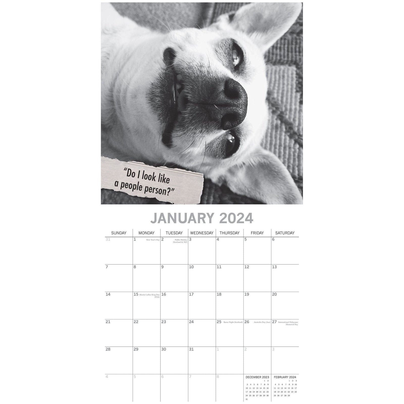 Mutts - 2024 Square Wall Calendar Pets Animals 16 Month Premium Planner New Year