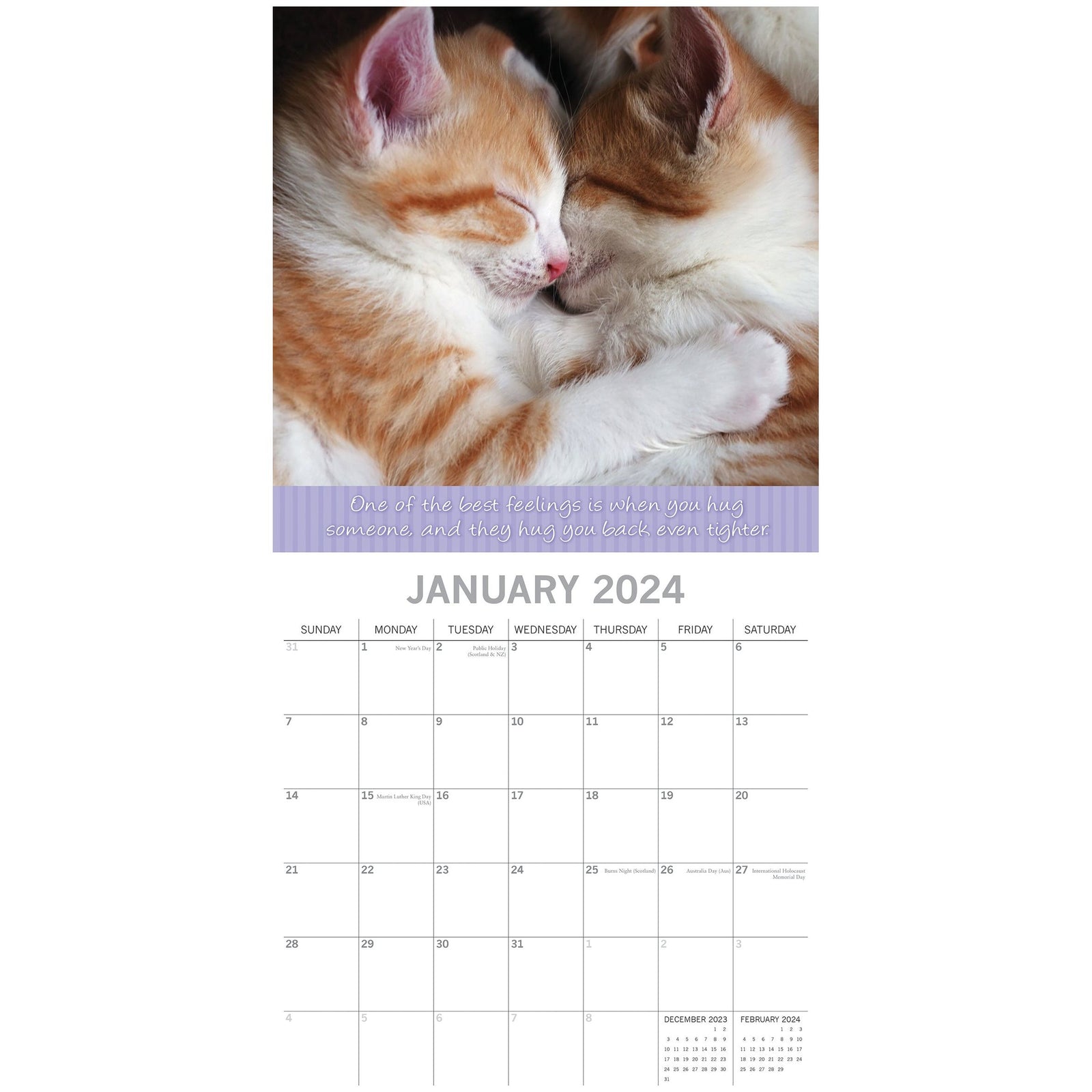Hugs - 2024 Square Wall Calendar Pets Animals 16 Months Premium Planner New Year