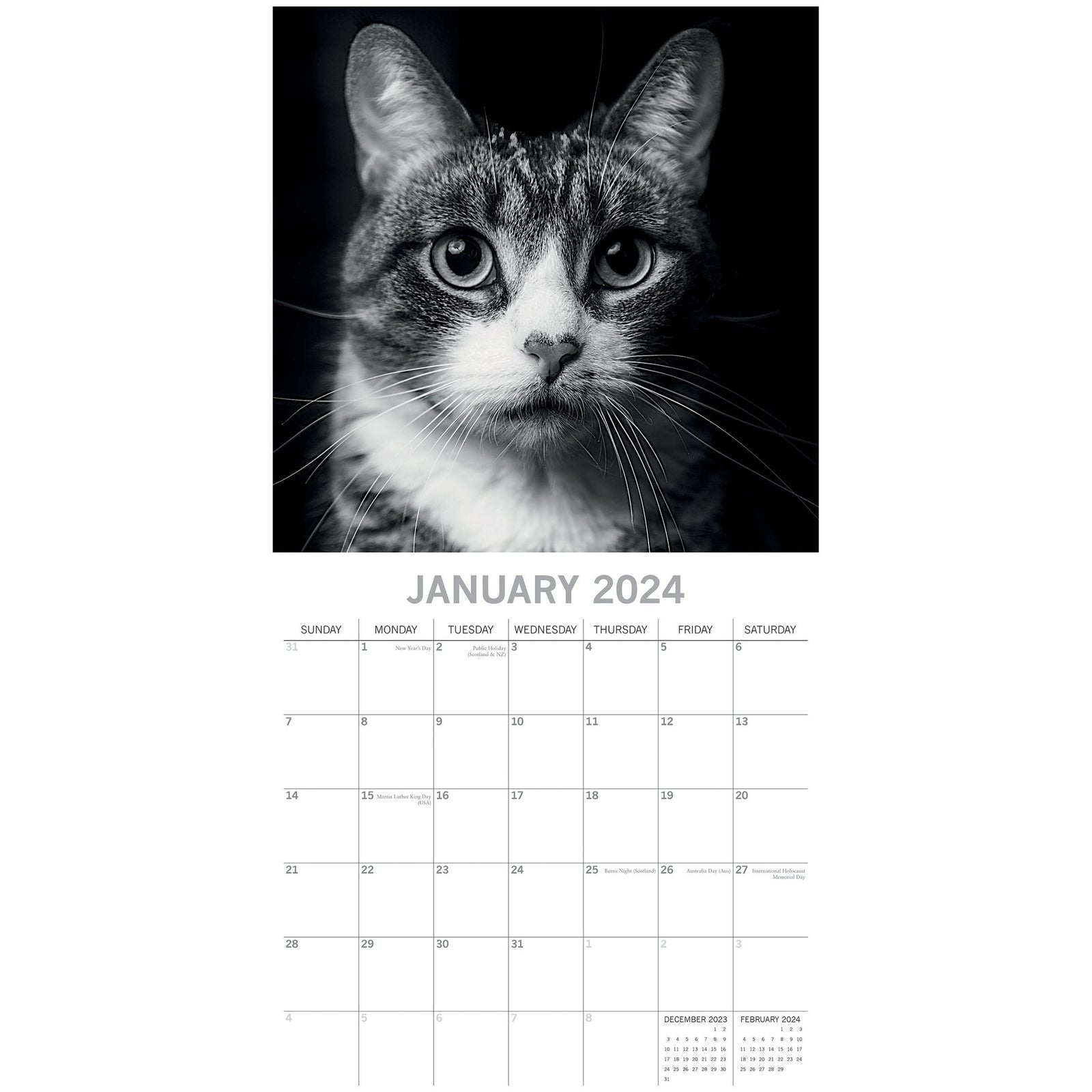 Cat Portraits - 2024 Square Wall Calendar 16 Months Black & White Planner Gift
