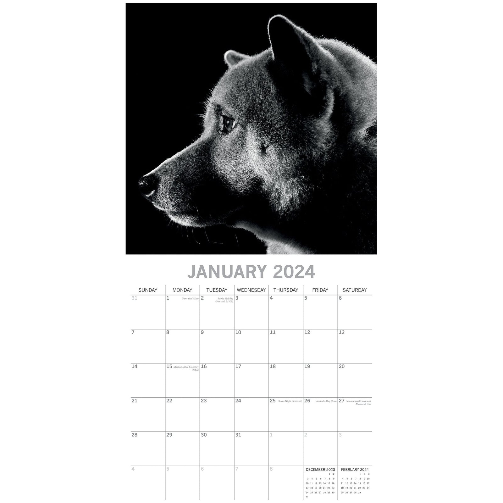 Dog Portraits - 2024 Square Wall Calendar 16 Months Black & White Planner Gift