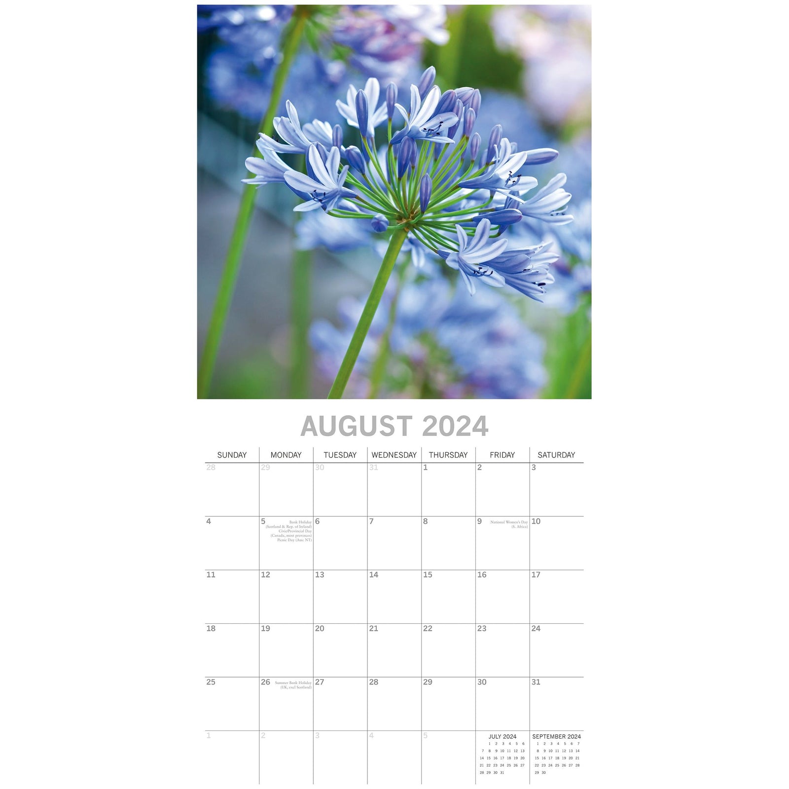 Beauty of Flowers 2024 Square Wall Calendar 16Month Floral Planner New Year Gift