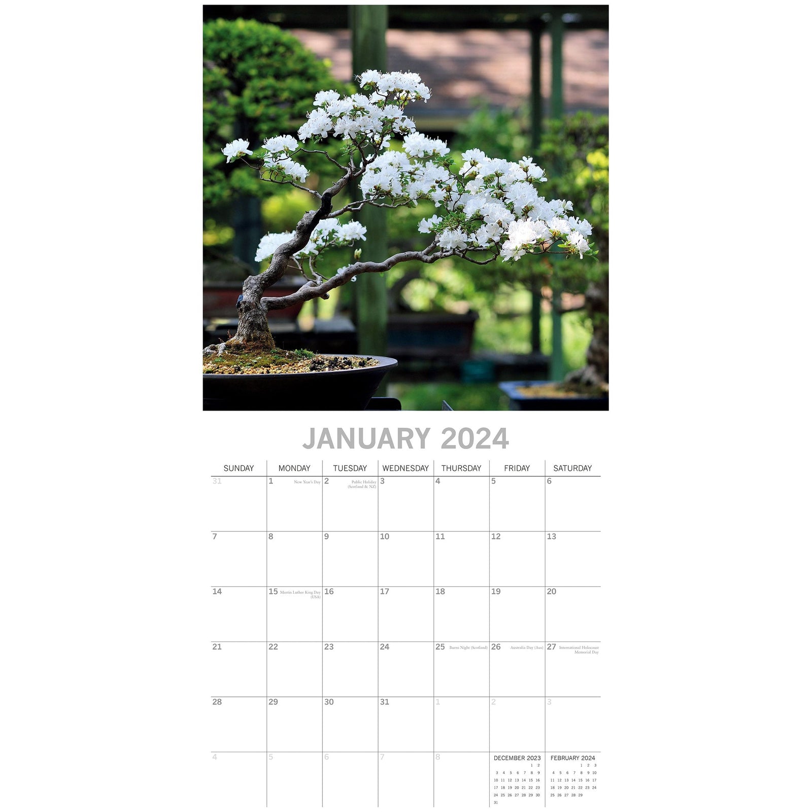 Bonsai 2024 Square Wall Calendar 16 Month Floral Planner Christmas New Year Gift