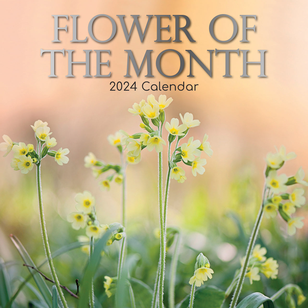 Flower of the Month - 2024 Square Wall Calendar 16 Months Floral Planner Gift