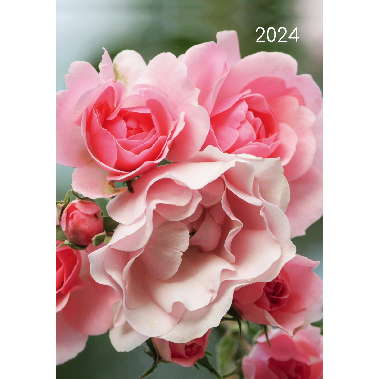 Roses - 2024 A5 Padded Cover Diary Premium Planner Book Christmas New Year Gift