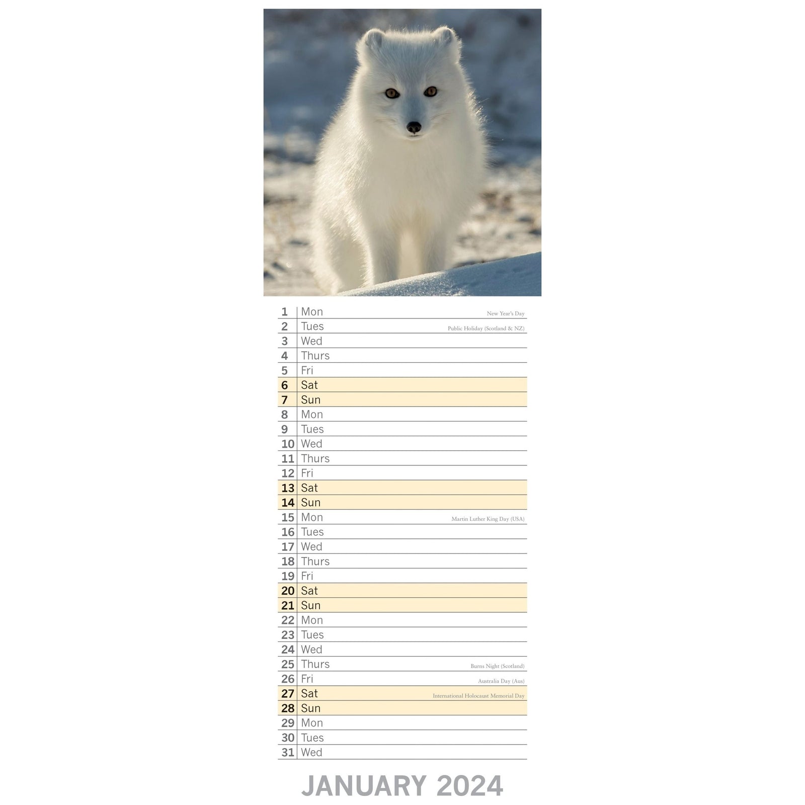 Adorable Animals 2024 Slimline Slim Wall Calendar Hanging Planner New Year Gift