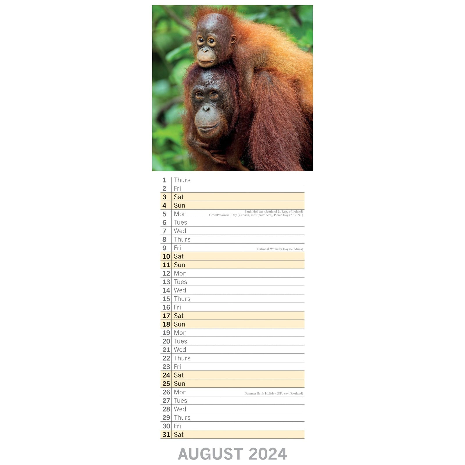 Baby Animals - 2024 Slimline Slim Wall Calendar Hanging Planner New Year Gift