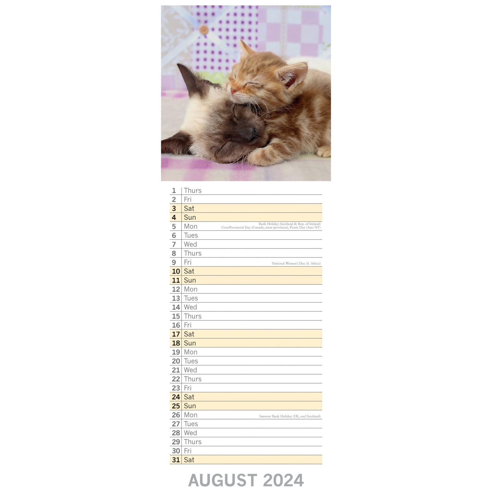 Cats & Kittens - 2024 Slimline Slim Wall Calendar Hanging Planner New Year Gift