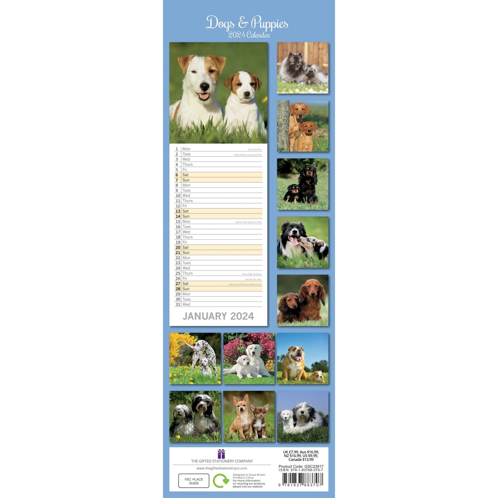 Dogs & Puppies - 2024 Slimline Slim Wall Calendar Hanging Planner New Year Gift