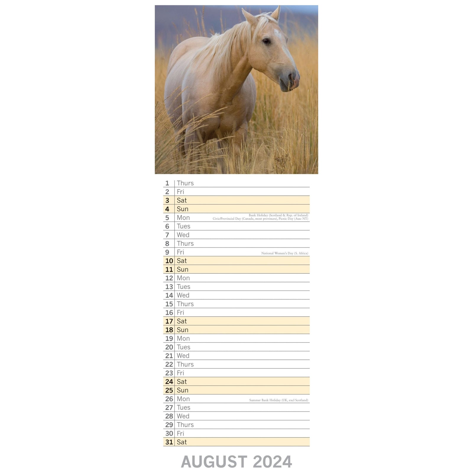 Horses - 2024 Slimline Slim Wall Calendar Hanging Planner New Year Gift