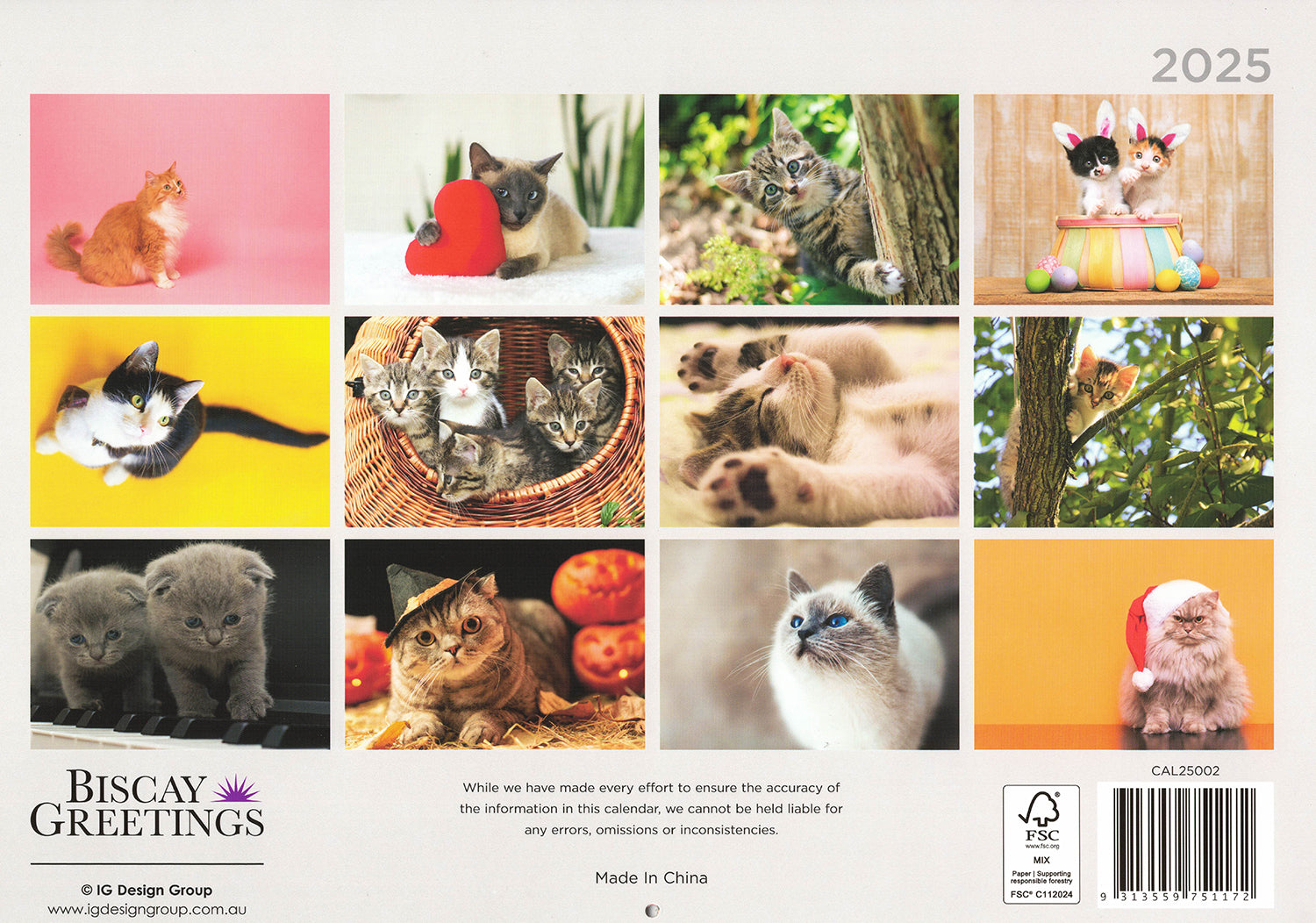 Cats And Kittens - 2025 Rectangle Wall Calendar 16 Months Hanging Animal Planner