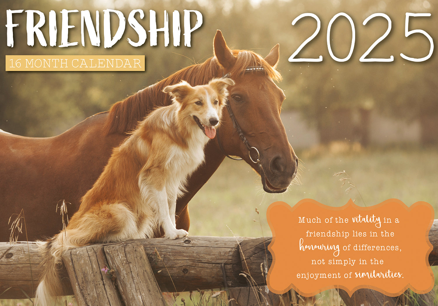 Friendship 2025 Rectangle Wall Calendar 16 Months Hanging Planner New Year Gift