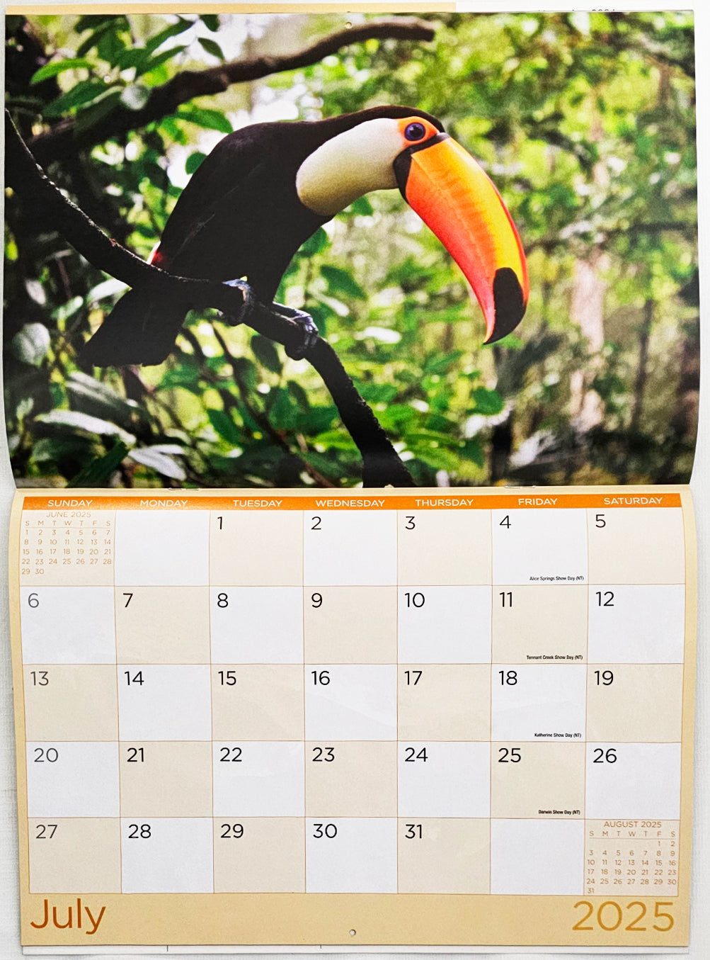 Birds - 2025 Rectangle Wall Calendar 16 Months Hanging Animal Planner New Year