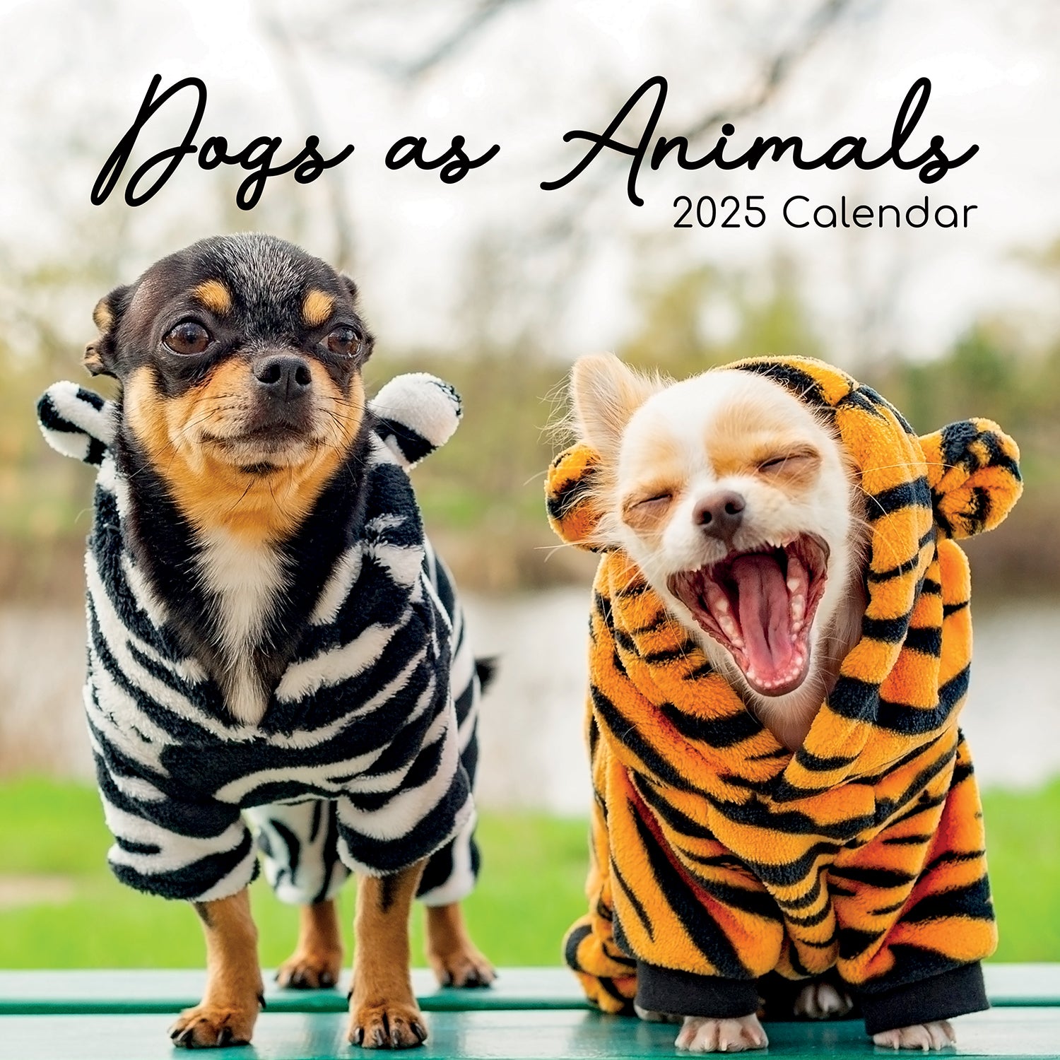 Dogs as Animals - 2025 Square Wall Calendar Pets Animals 16 Months Planner Gift