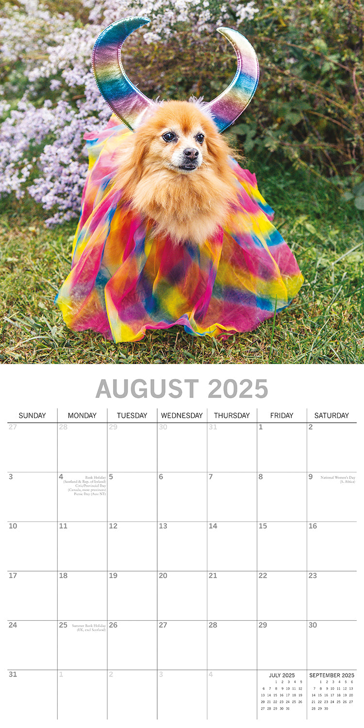 Dogs as Animals - 2025 Square Wall Calendar Pets Animals 16 Months Planner Gift