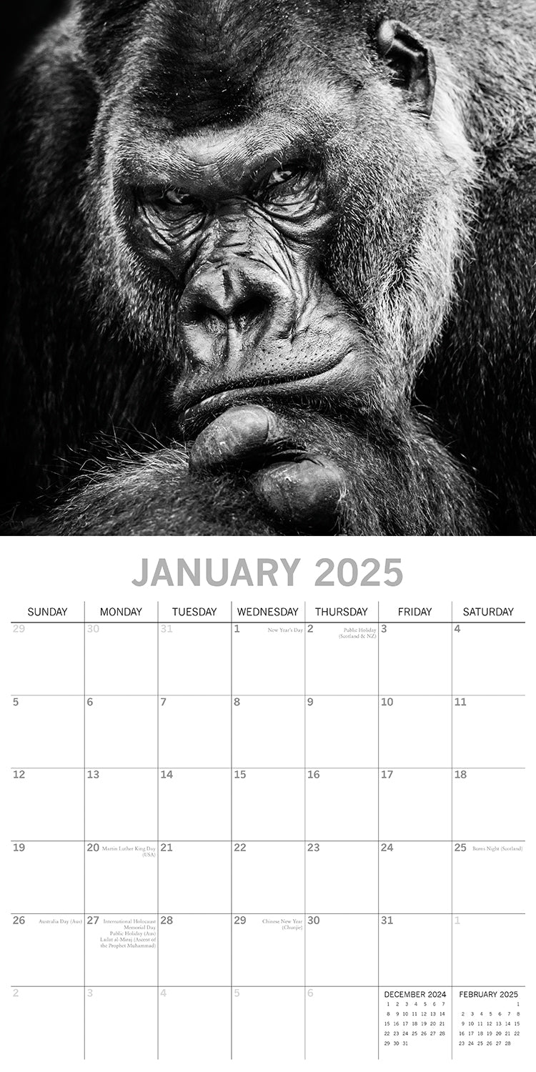 Seascapes - 2025 Square Wall Calendar 16 Months Premium Planner Christmas Gift