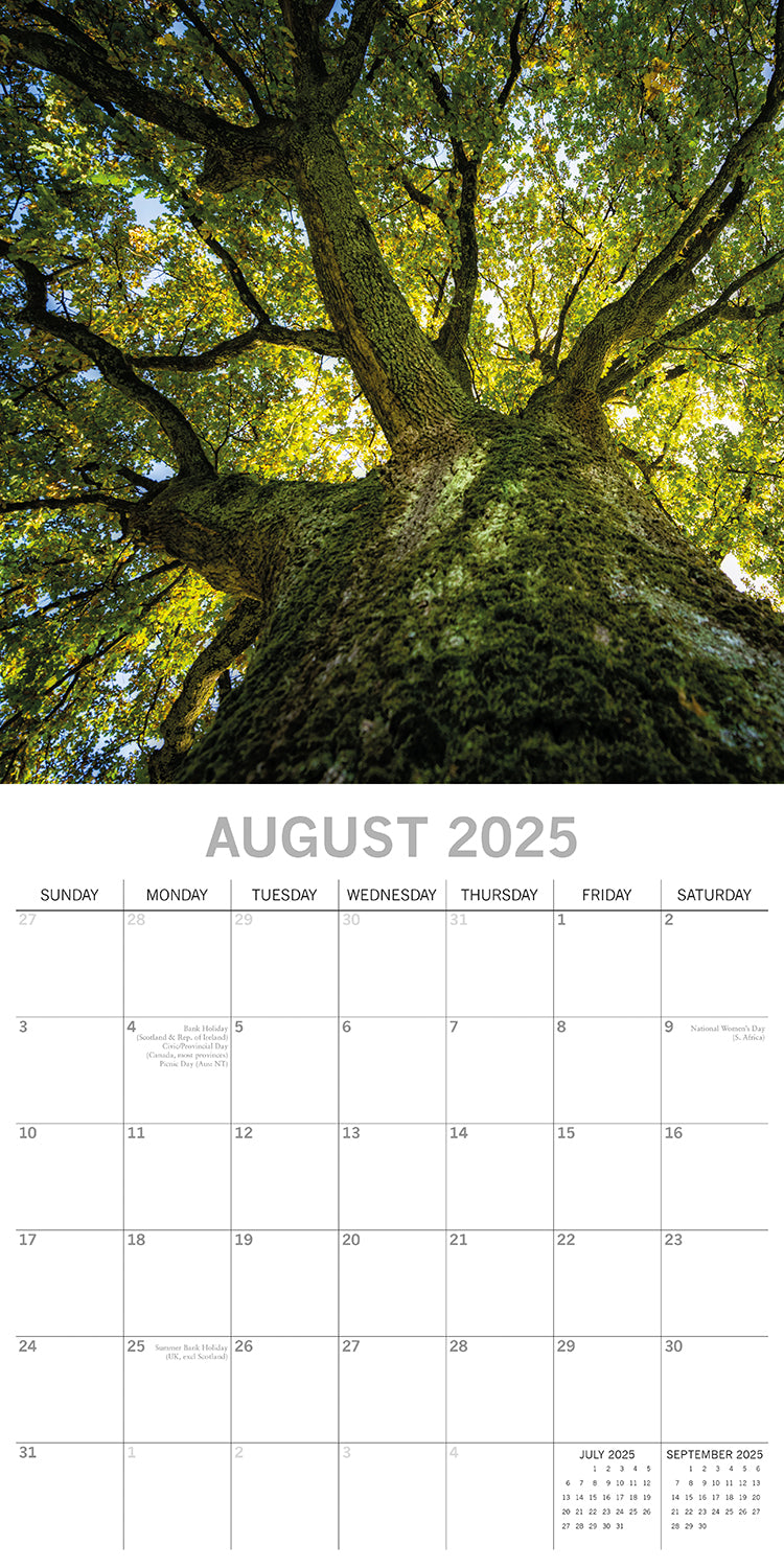 Woodland Scenes 2025 Square Wall Calendar 16 Months New Year Xmas Planner Gift