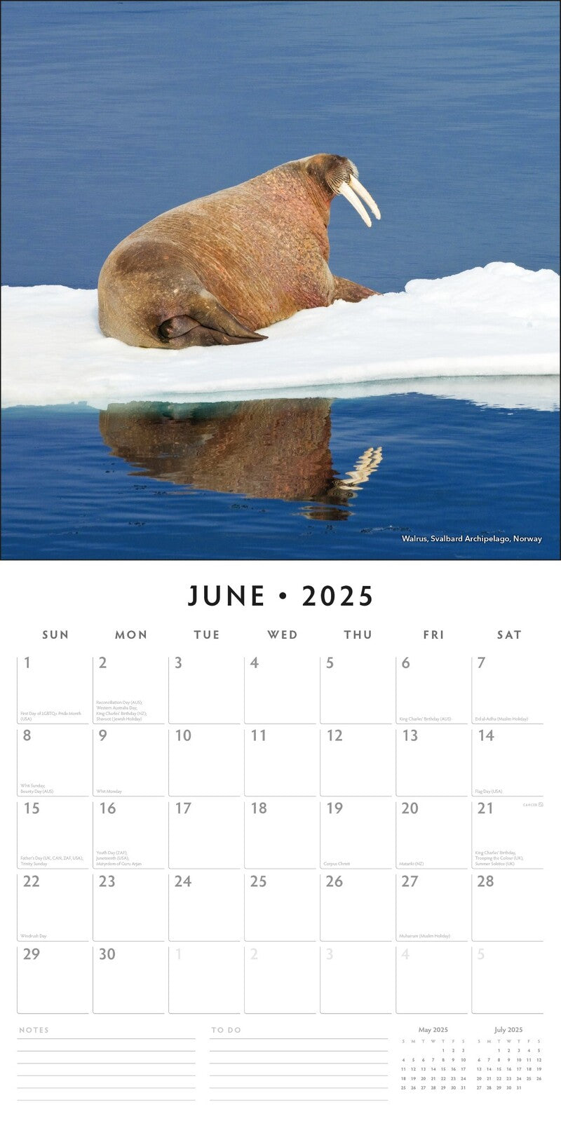 Arctic - 2025 Square Wall Calendar Nature 16 Month Premium Planner New Year Gift