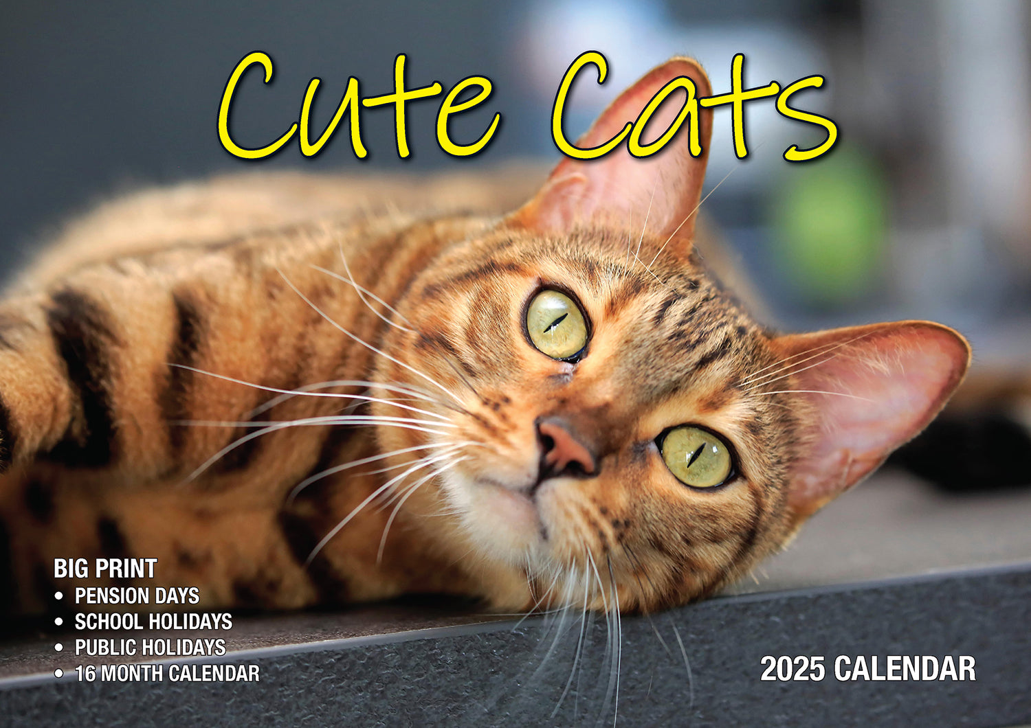 Cute Cats - 2025 Rectangle Wall Calendar 16 Months Planner Animal Pets Photos
