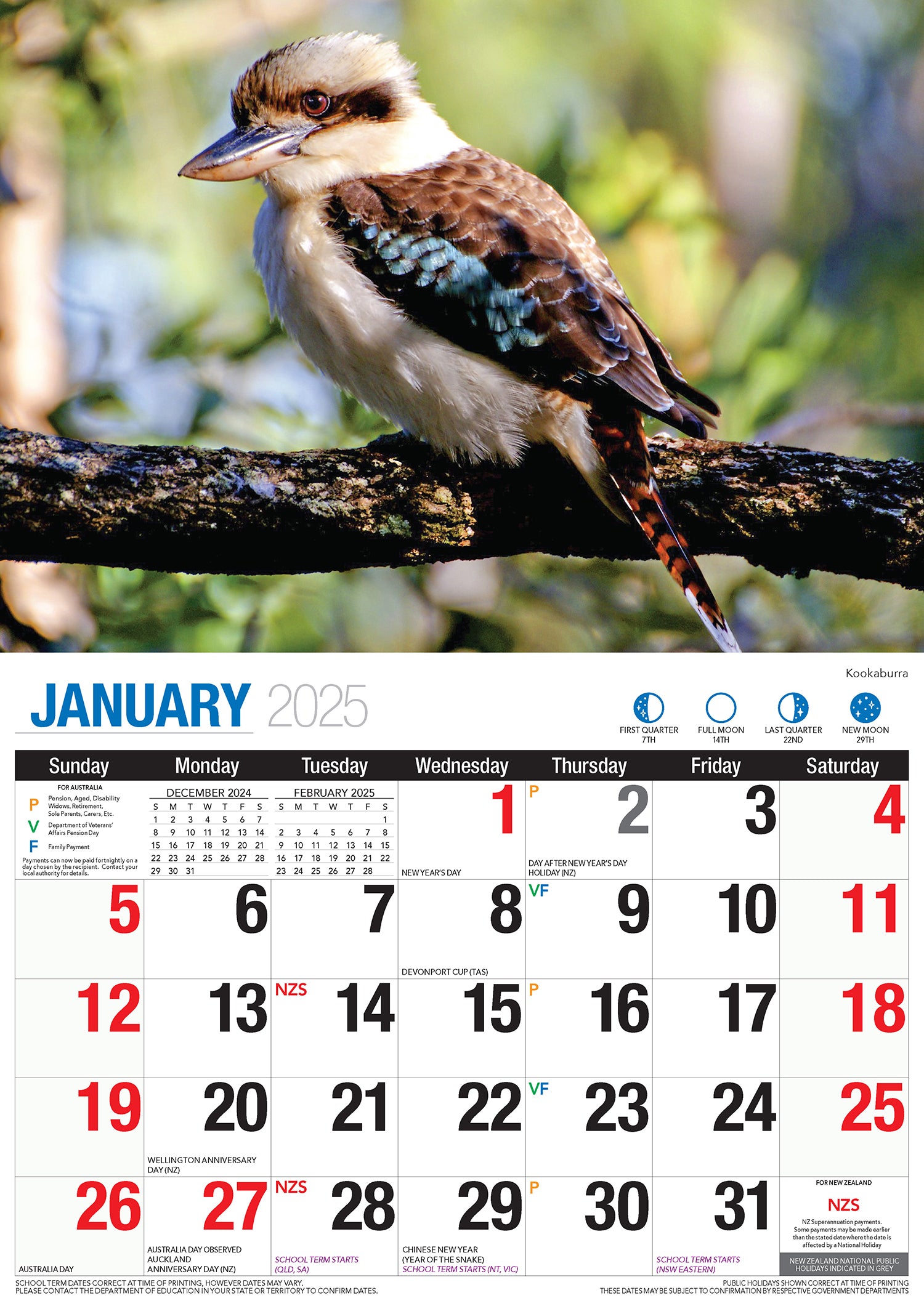 Australian Wildlife - 2025 Rectangle Wall Calendar 16 Months Animal Photography