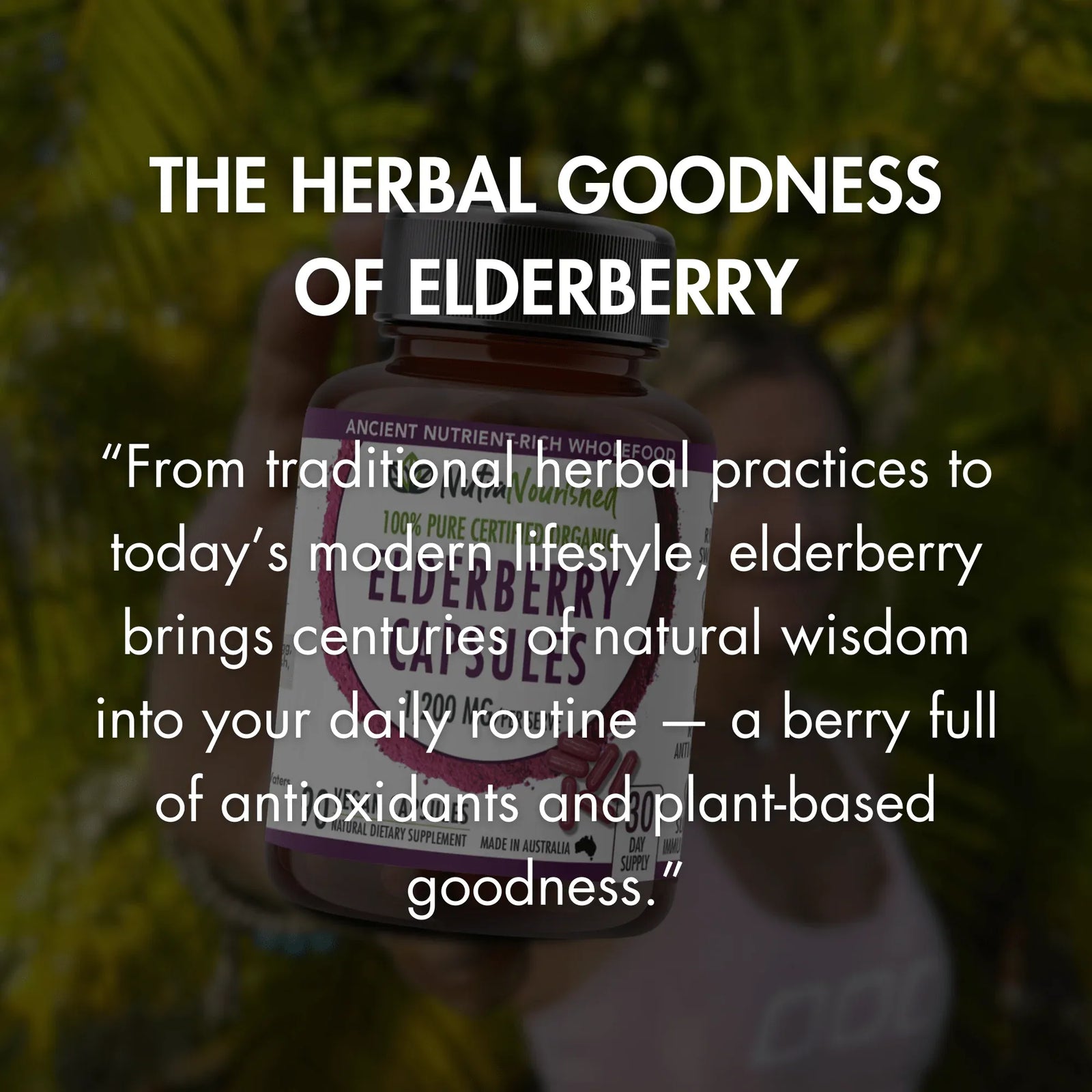 Organic Elderberry Capsules