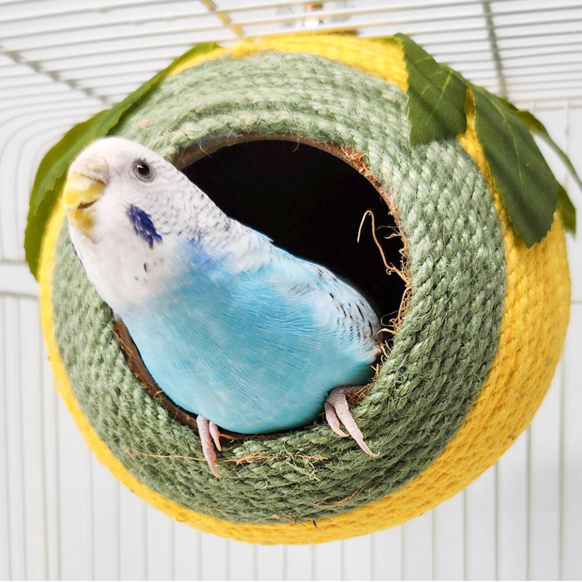 Bird Nest Parrot Nest Coconut Shell Braided Twine Colourful Cage Hanging Bed - White-Green-Screw Model