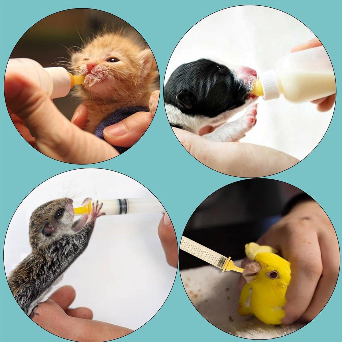 Kitten Feeding Bottle with Syringe Dispenser for Young Pets and Small Animals