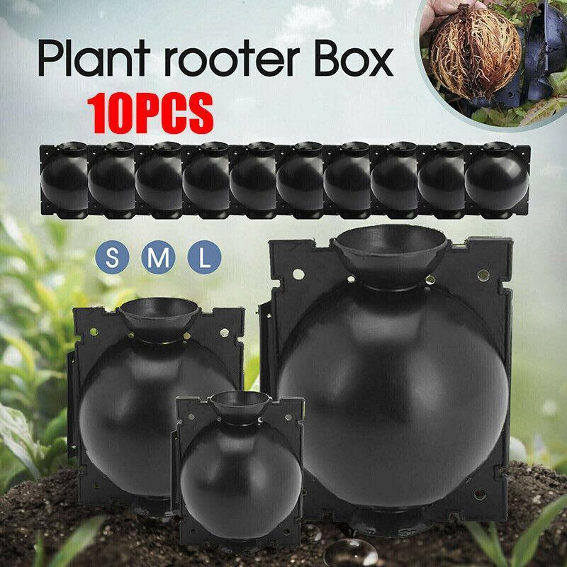 10Pcs Plant Rooting Ball High Pressure Propagation Box Grafting Breeding Device - S-5CM-10PCS