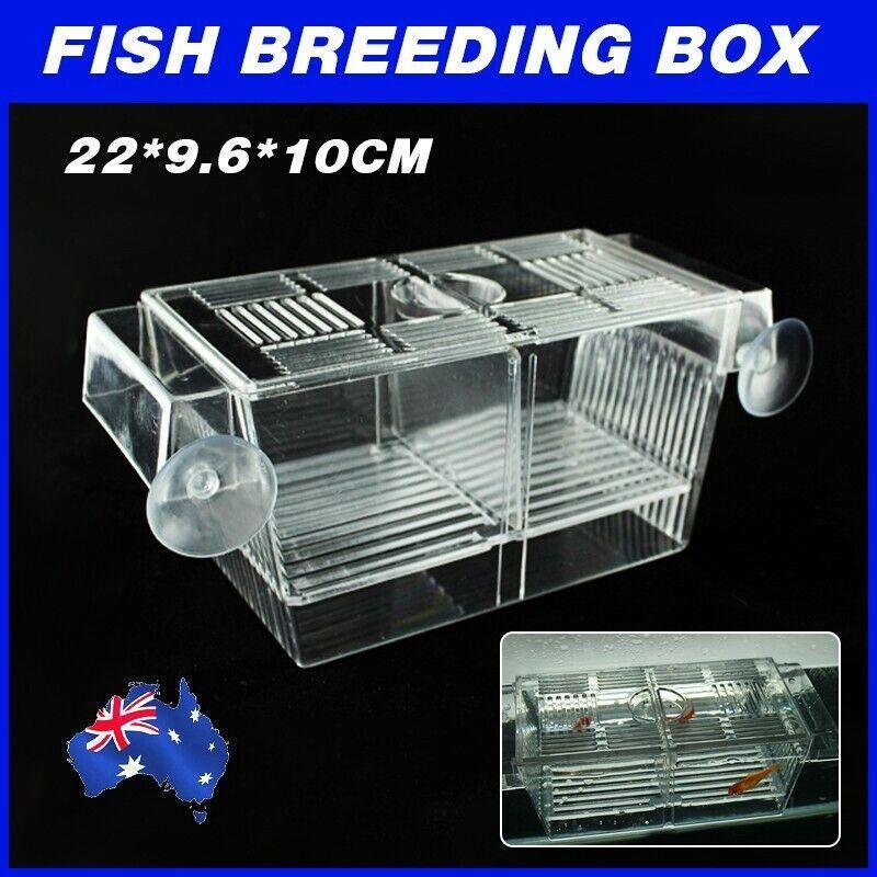 Large Breeding Aquarium Fish Tank Guppy Hatchery Breeder Rearing Isolation Box