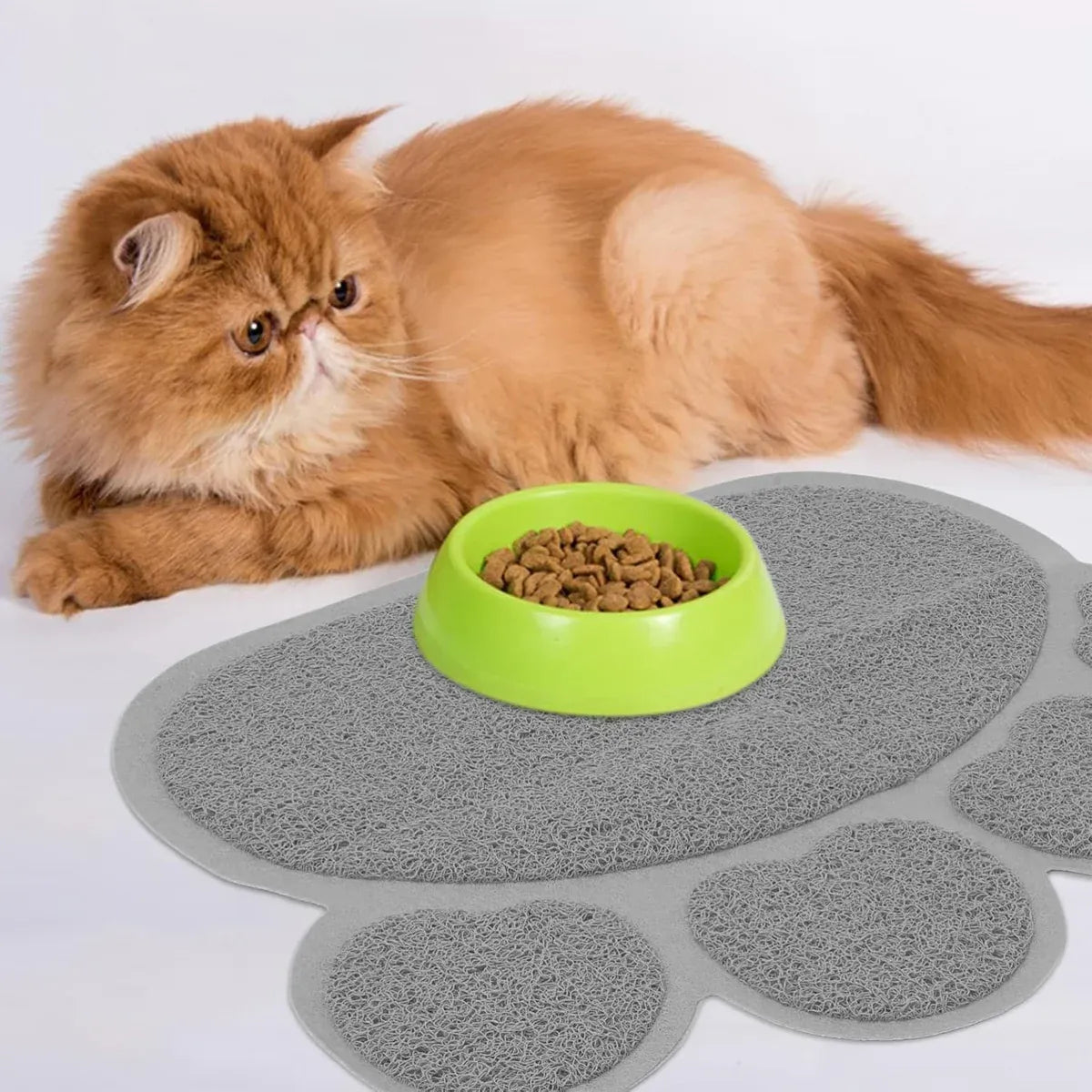 Cat Litter Mat Two Pieces Soft Pet Foot Pad Mat For Dog And Cat Toilet Training