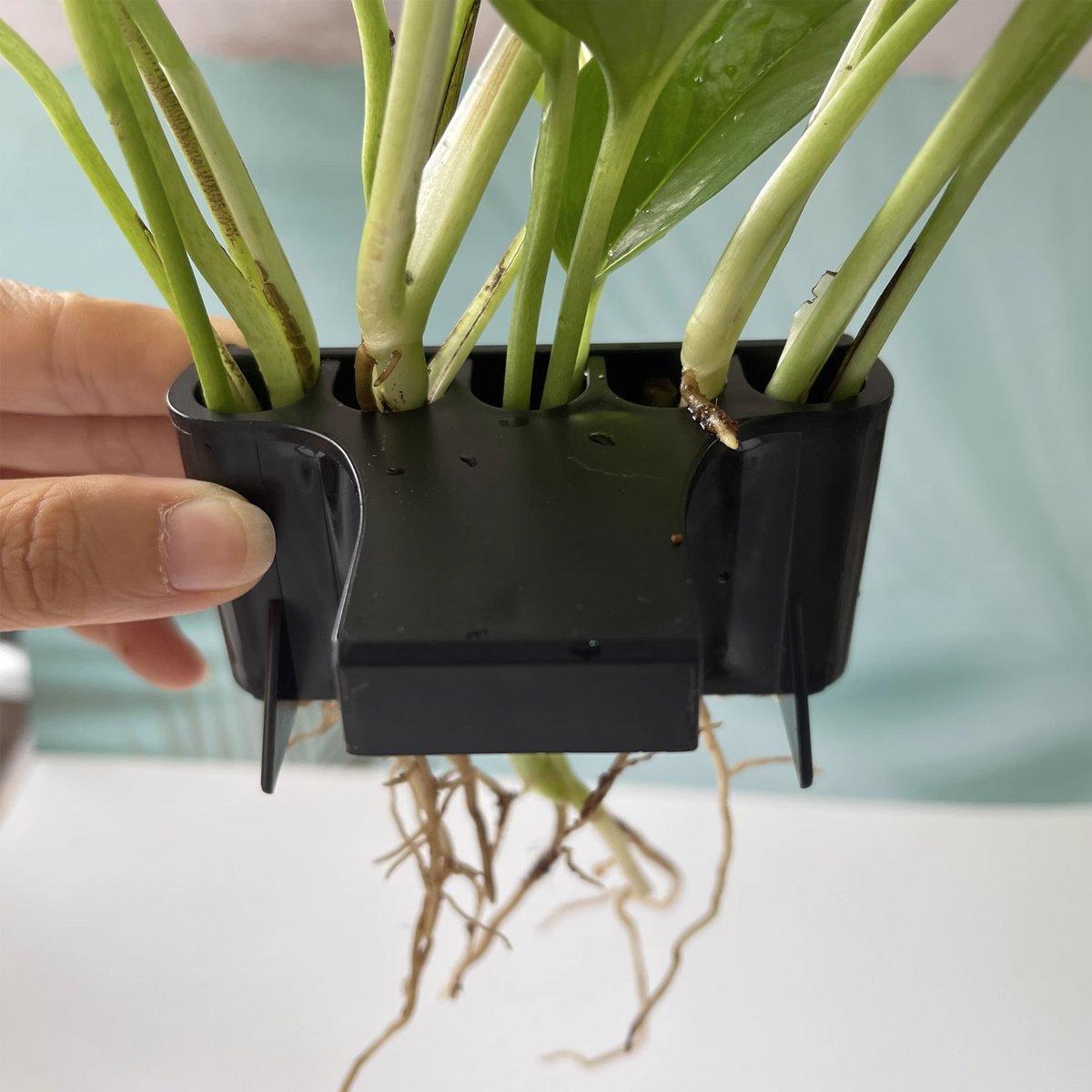 Aquarium Shelf Water Plant Cultivation Rack Fish Tank Plant Holder Decoration