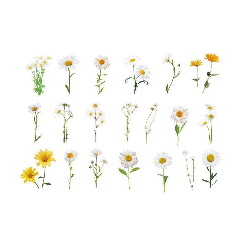 Scrapbooking Flower Stickers Pet Transparent Sticker - E