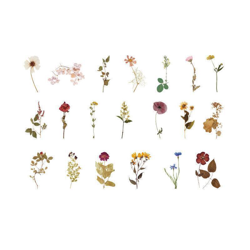 Scrapbooking Flower Stickers Pet Transparent Sticker - E