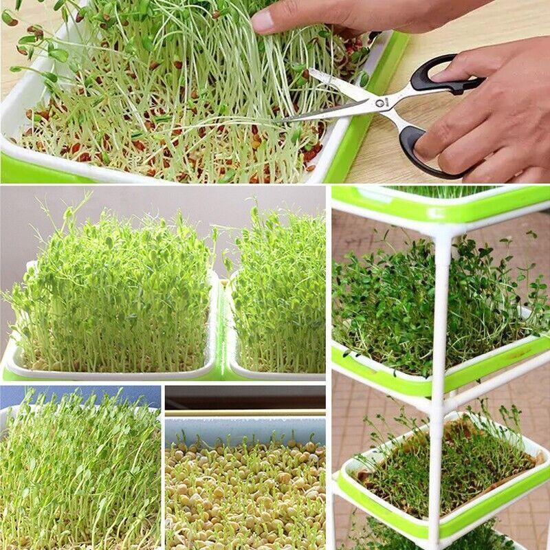Double Layer Microgreens Tray for Hydroponic Seeding Germination Wheatgrass