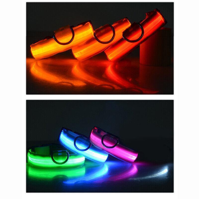 M Size USB Rechargeable LED Dog Collar Nylon Glow Flashing Light Up Pet Collar - Red