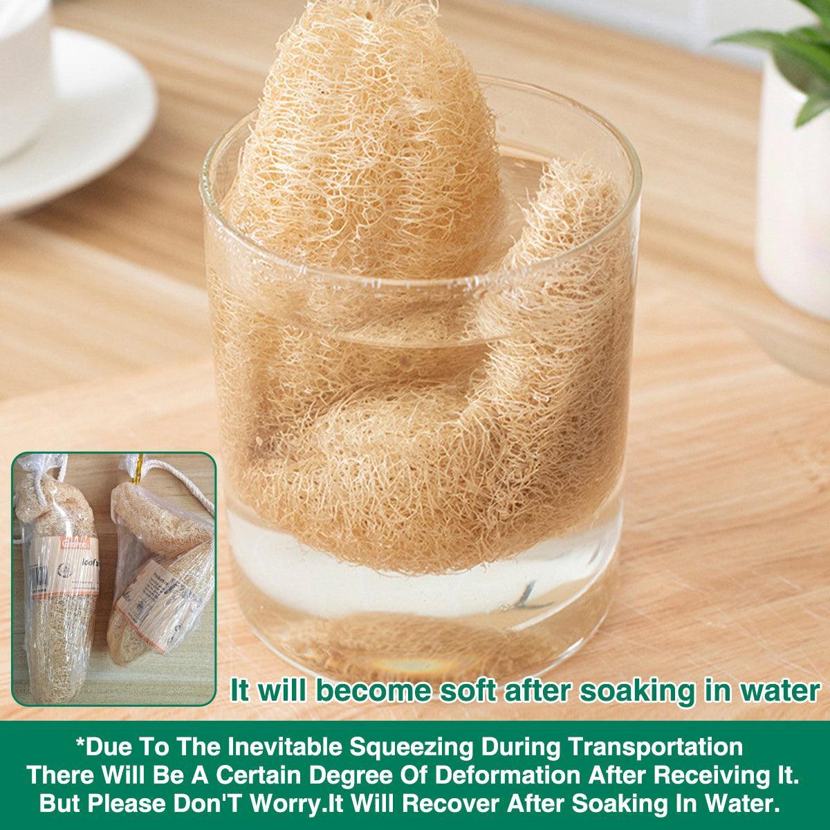 Natural Loofah Sponge Kitchen Scrubber for Dishwashing Pot Cleaning 5 Pack