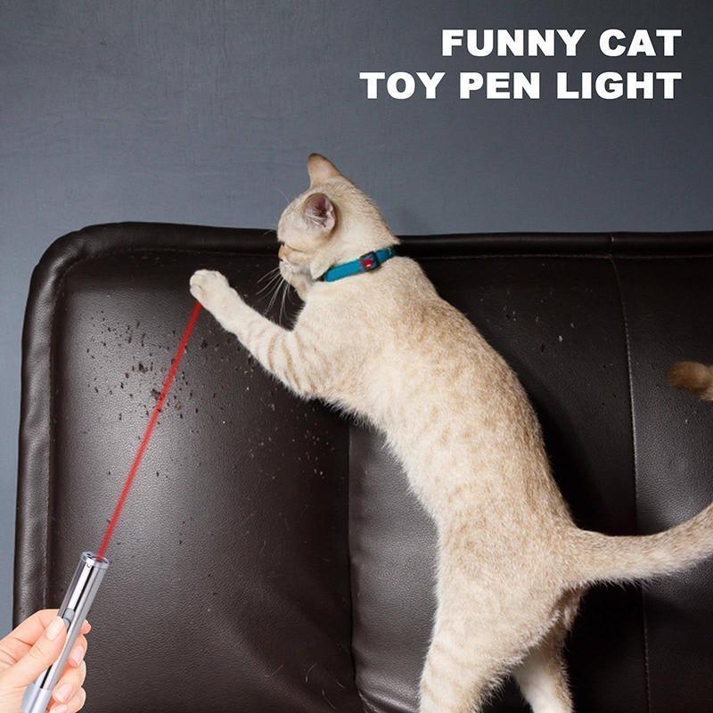 3 in 1 Multi Function Premium Cat Toy Laser Pointer USB Charging LED Torch Light